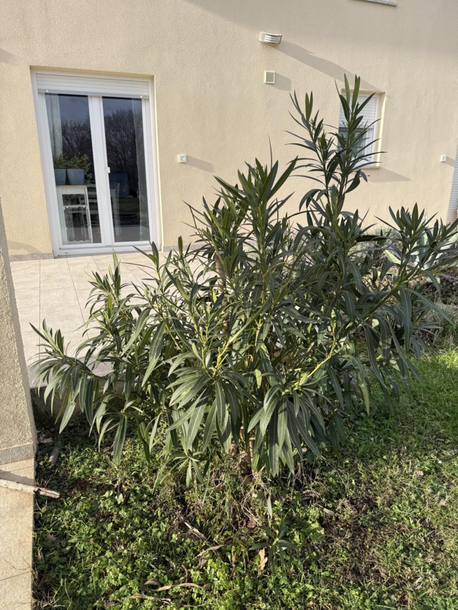 House Carla Belavici Villa Hreljići Kültér fotó